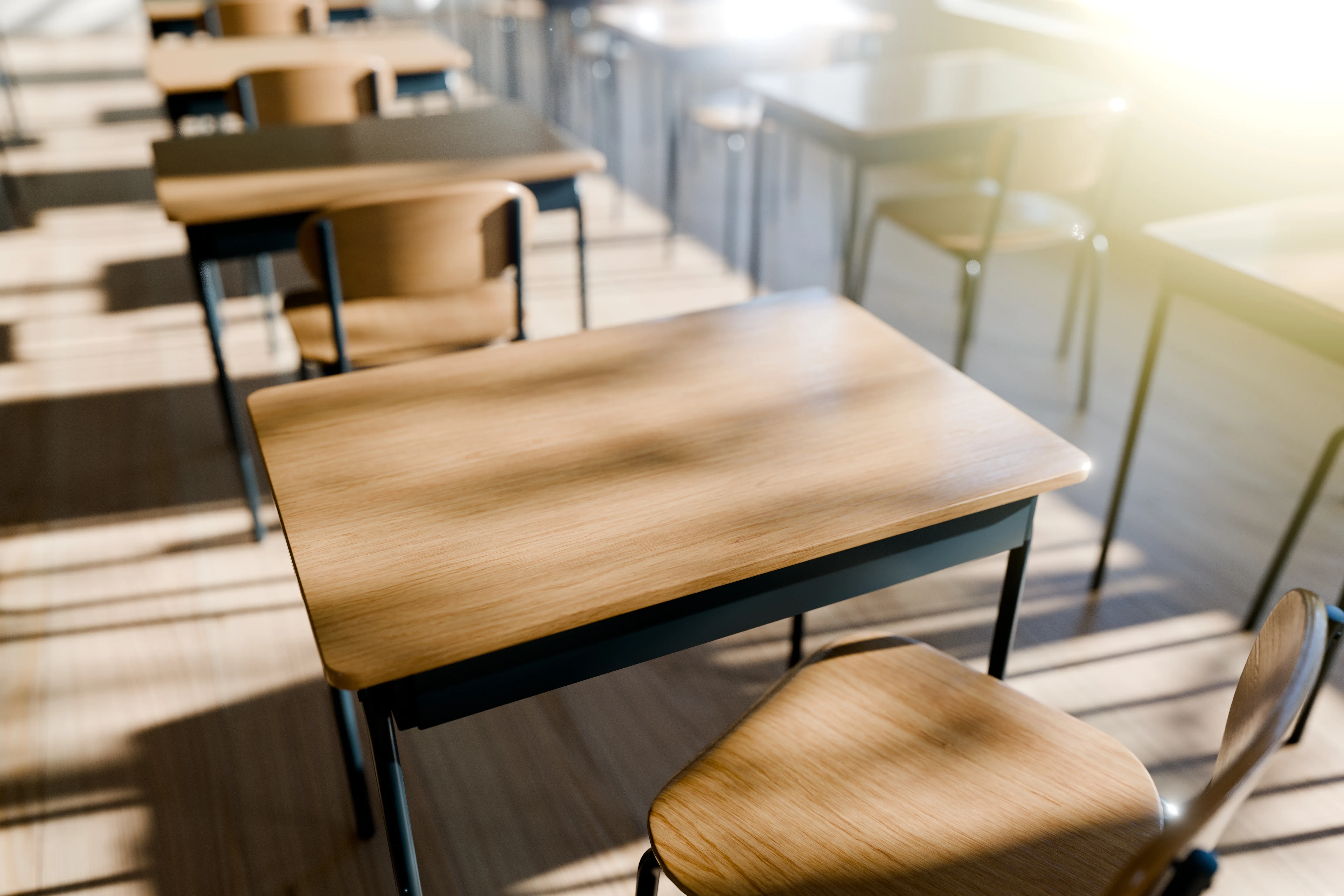 Schools, Daycare & Tutoring